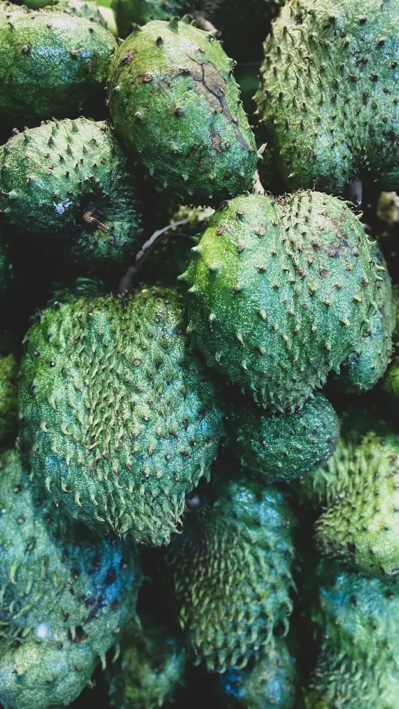 unsplash_Aud6hv56o7o_soursop.jpg.jpg.jpg.webp